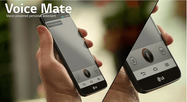 voice mate lg