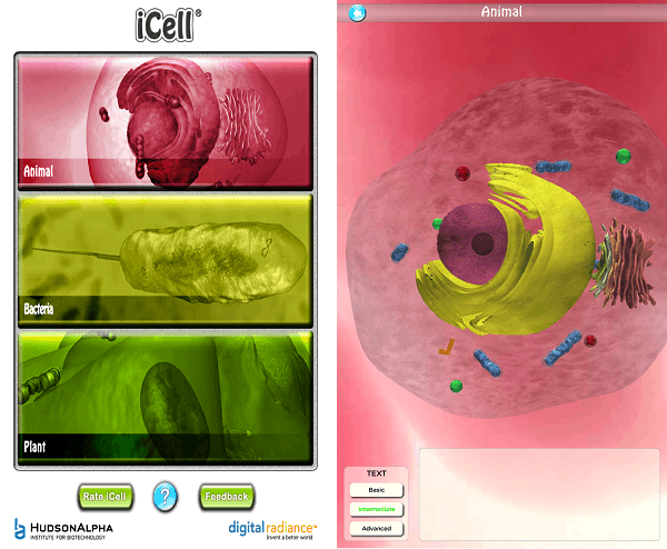 Screenshot 2013 05 13 15 41 10
