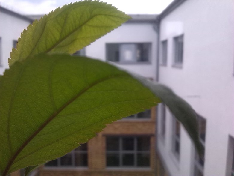IMG 20130524 143746