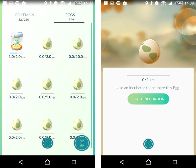 pokemons ovos
