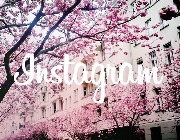 instagram