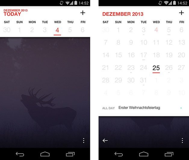 any do cal kalender termine