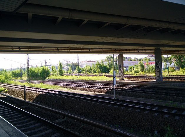 oneplus one sample image 06