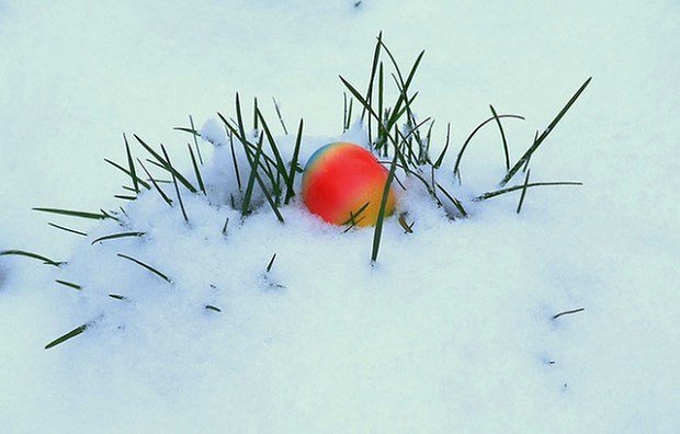 Easterweekend teaser