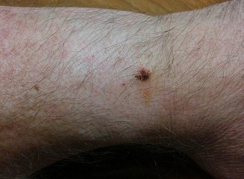 gwatch rust3