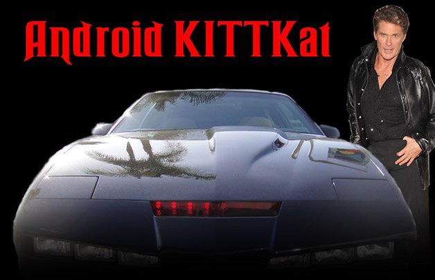 kittkat hoff teaser