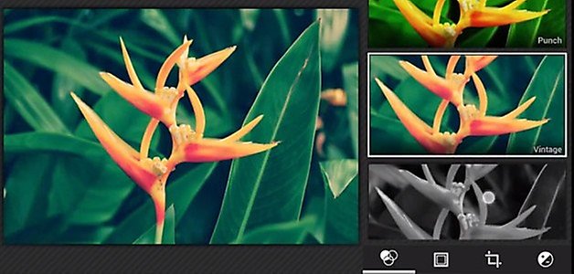 Android44 photo 1