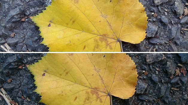 camera comparison alpha z3 compact 5