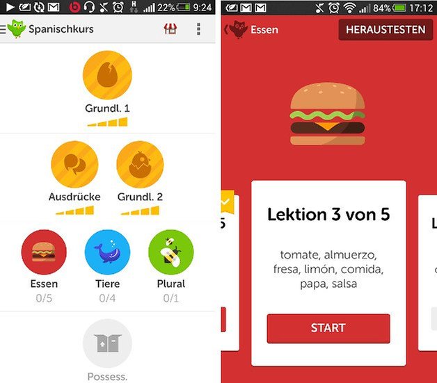 duolingo 3