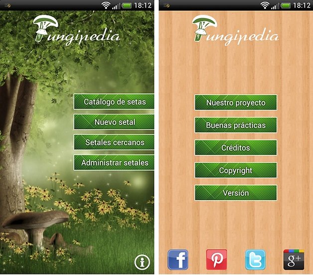 fungipedia 1
