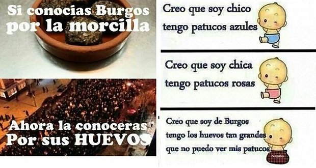 memes gamonal