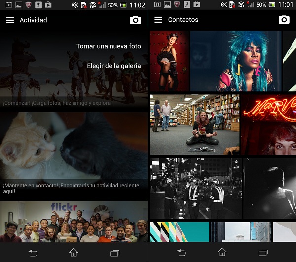 flickr1