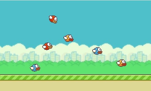 flappy birds