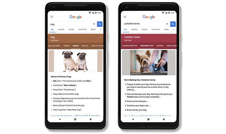 Google dynamic search feature google 01