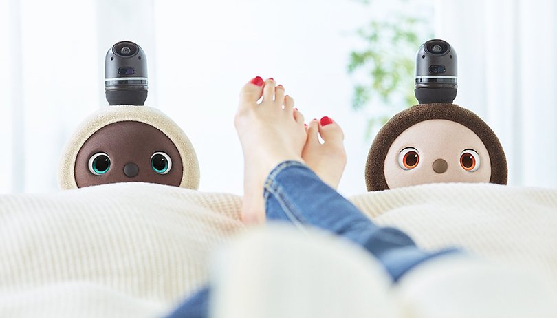 Lovot le robot veut combler nos besoins émotionnels