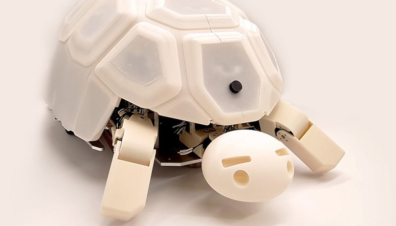Verhindert diese Roboter-Schildkröte die Rebellion der Maschinen?