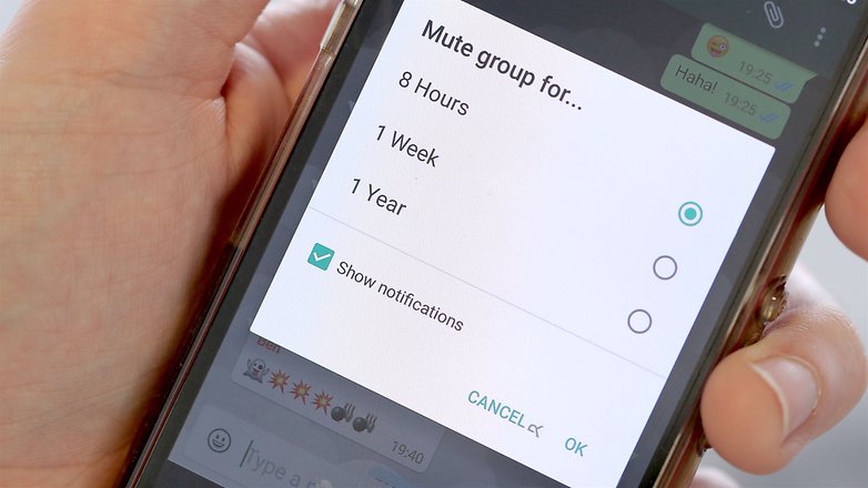 mute whatsapp group