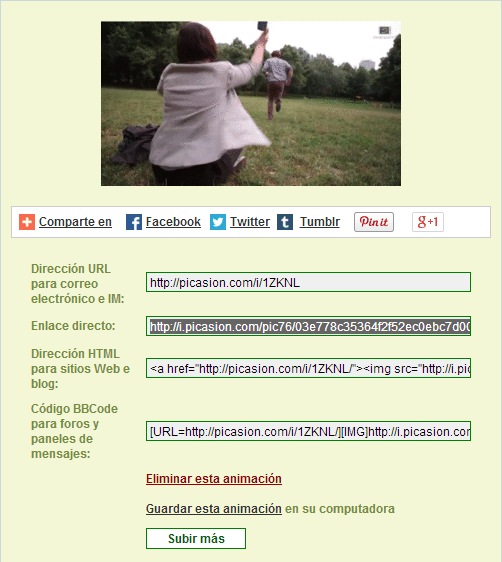picasion2