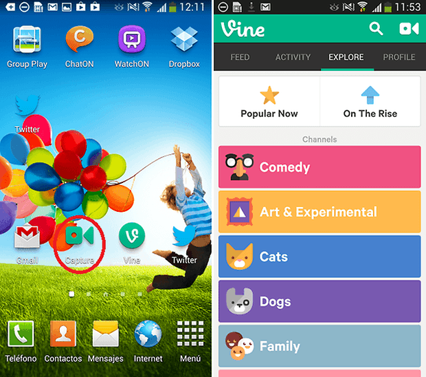 Vine3