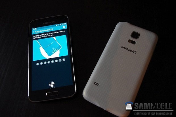 GalaxyS5Mini 13