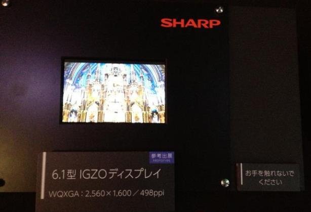 sharp 6 inch