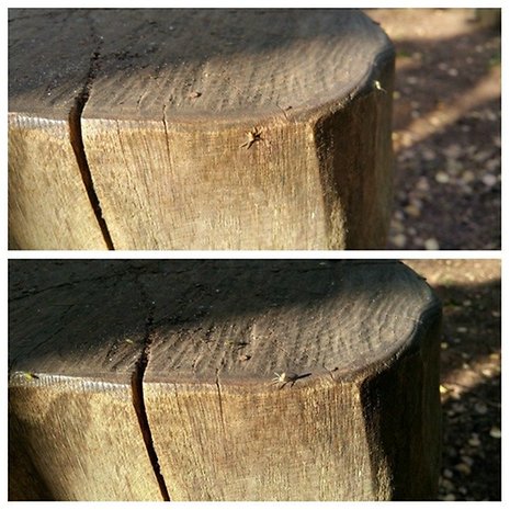 samsung, galaxy, note 4, lg, g3, camera, photo, image, gallery