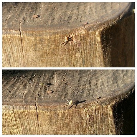 samsung, galaxy, note 4, lg, g3, camera, photo, image, gallery