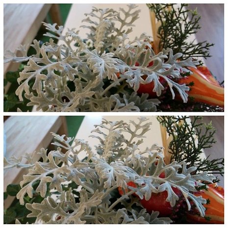 samsung, galaxy, note 4, lg, g3, camera, photo, image, gallery