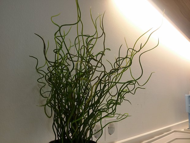 samsung, galaxy, note-pro, note-pro-12-2, note-pro-12-2-lte, camera