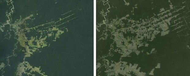 Google earth deforestation brazil