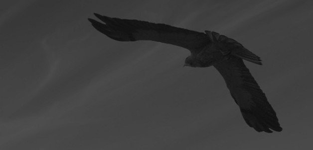 app carbon for twitter v2 teaser