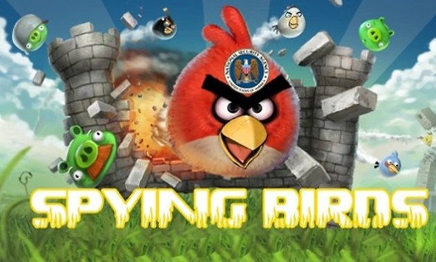 spying birds teaser