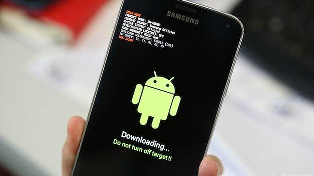 Root domande risposte