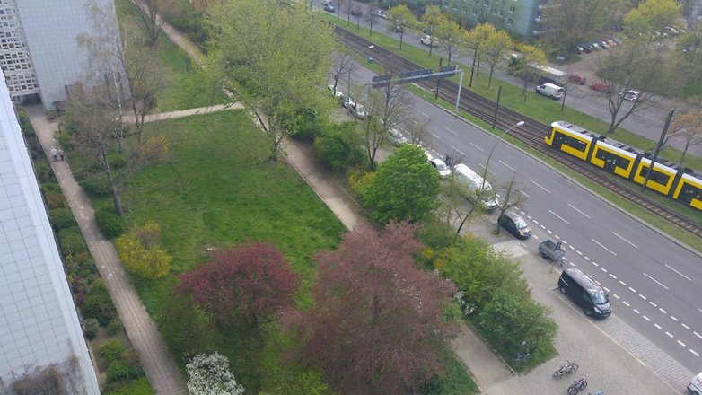 lg g4 photo grass