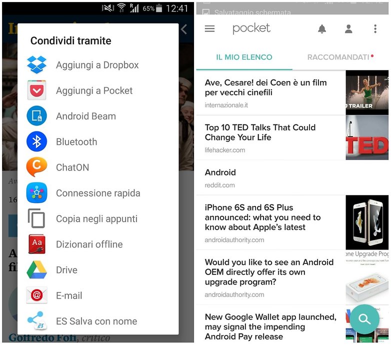 pocket
