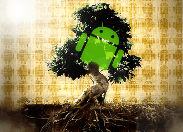 metodi root teaser
