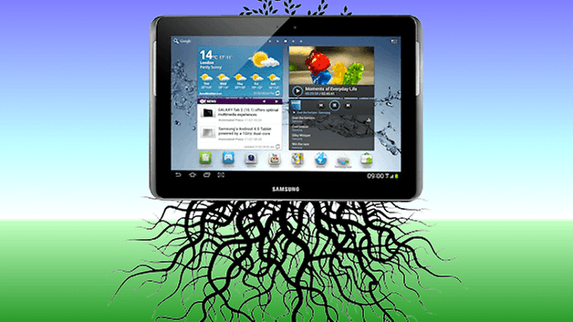 root tab2 teaser
