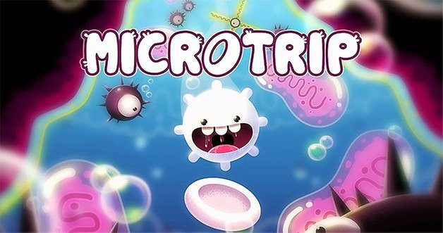 microtrip teaser