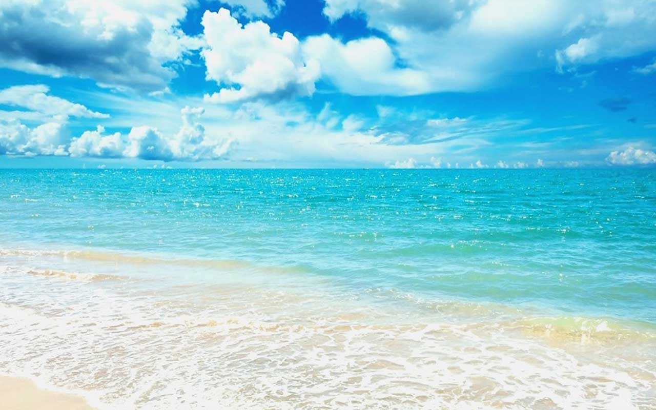 [Free Wallpaper][Sea Live], Worth Watching Wallpapers of Sea View. you ...