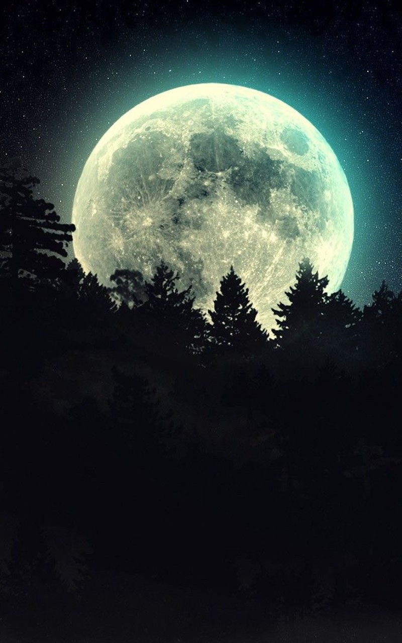 Free AppMoonlight Live Wallpaper, Shower your screen ...