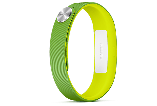SmartBand