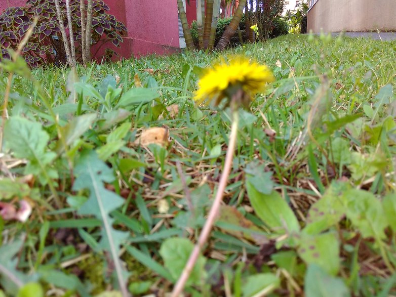 IMG 20150720 120042