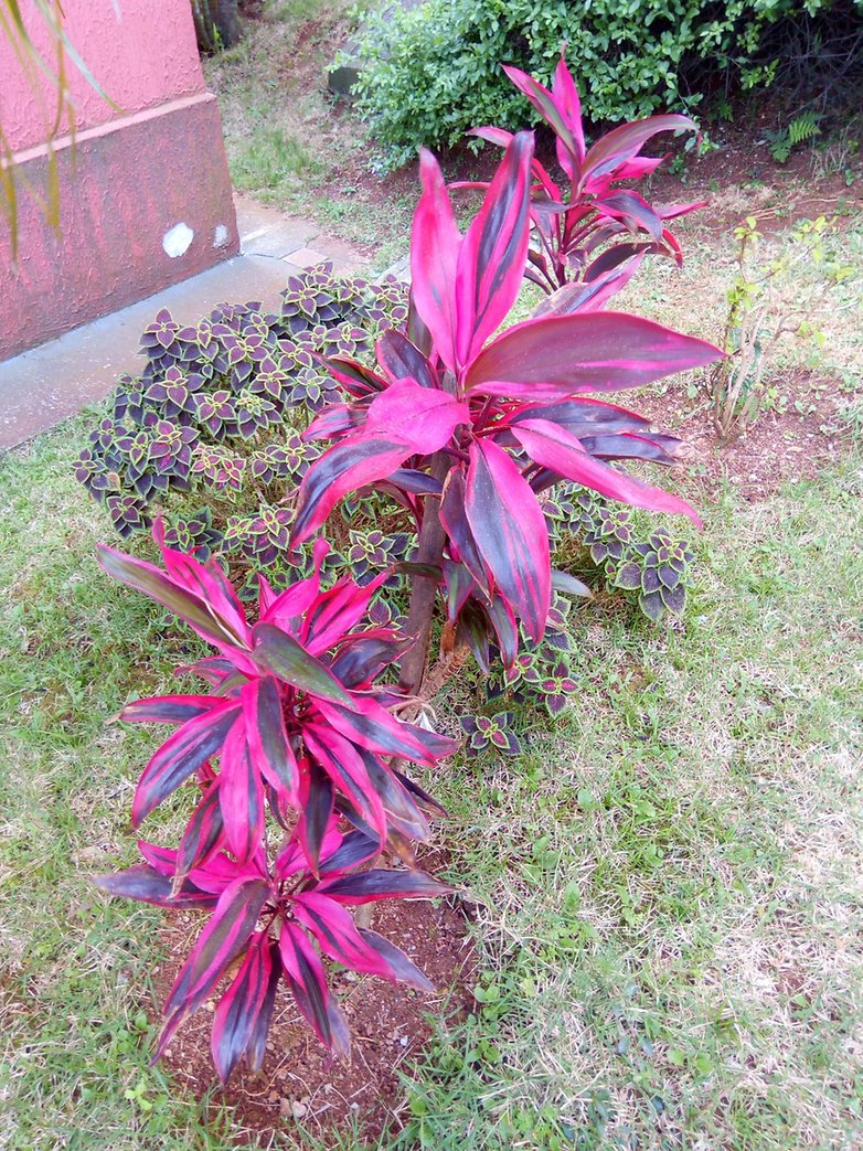 IMG 20151008 143658