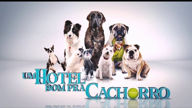 hotel cachorro