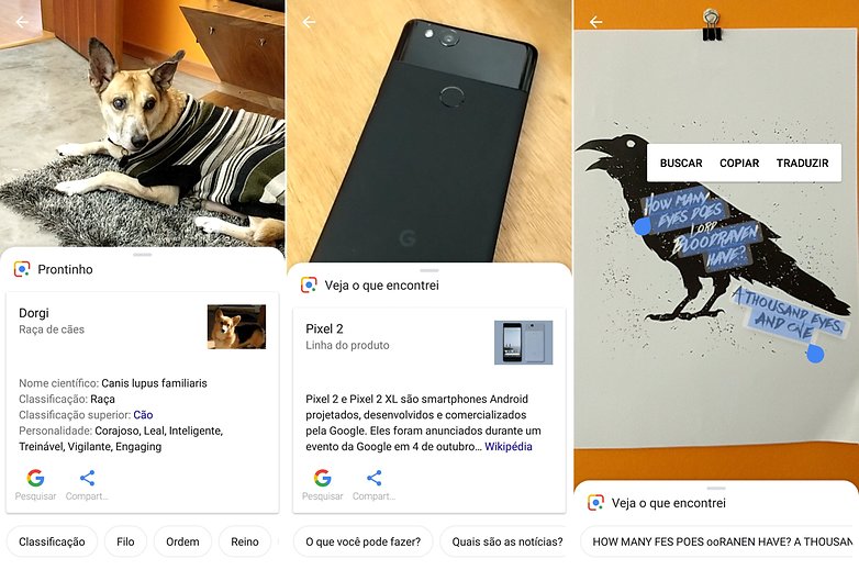 lens google dois pt