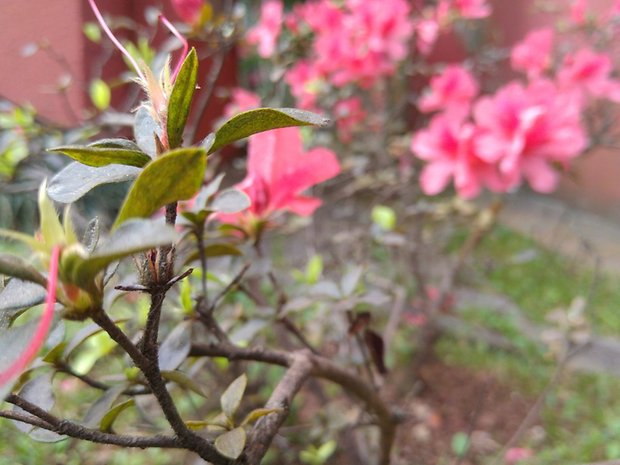 Moto X Style photo 3