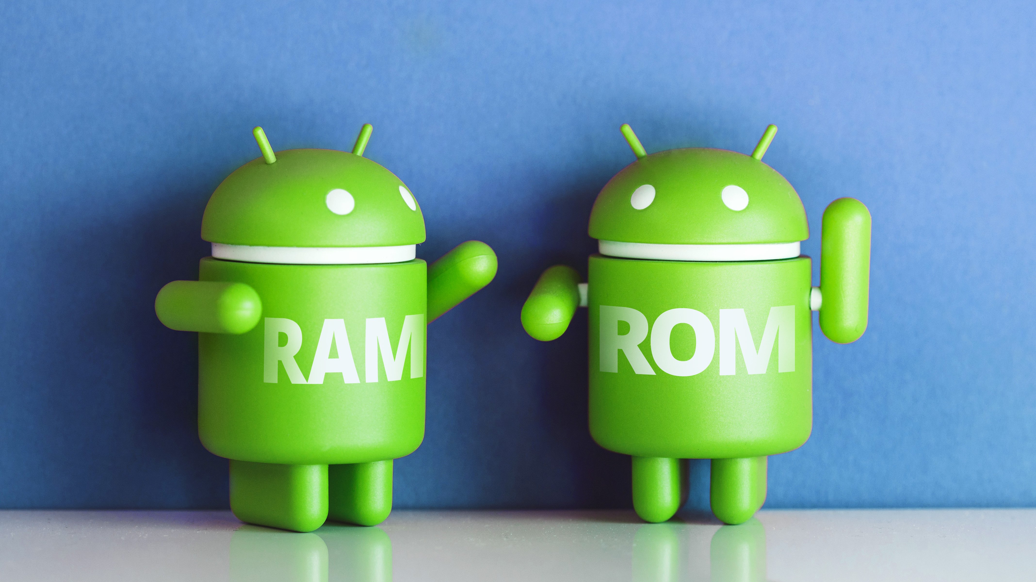 RAM ROM e memoria interna comprendere le differenze fondamentale