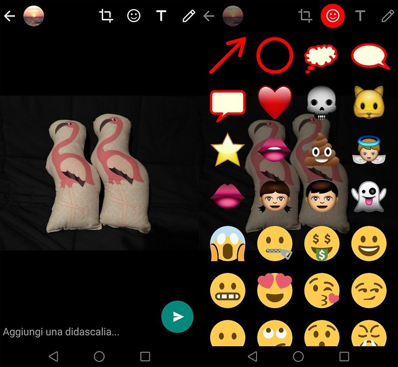 whatsappbeta8