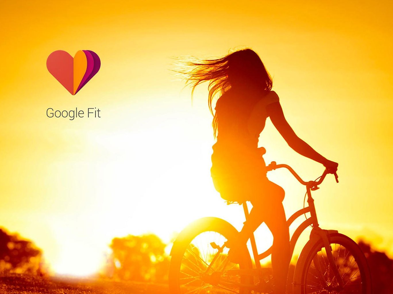 Google Fit is about to say goodbye to its web version