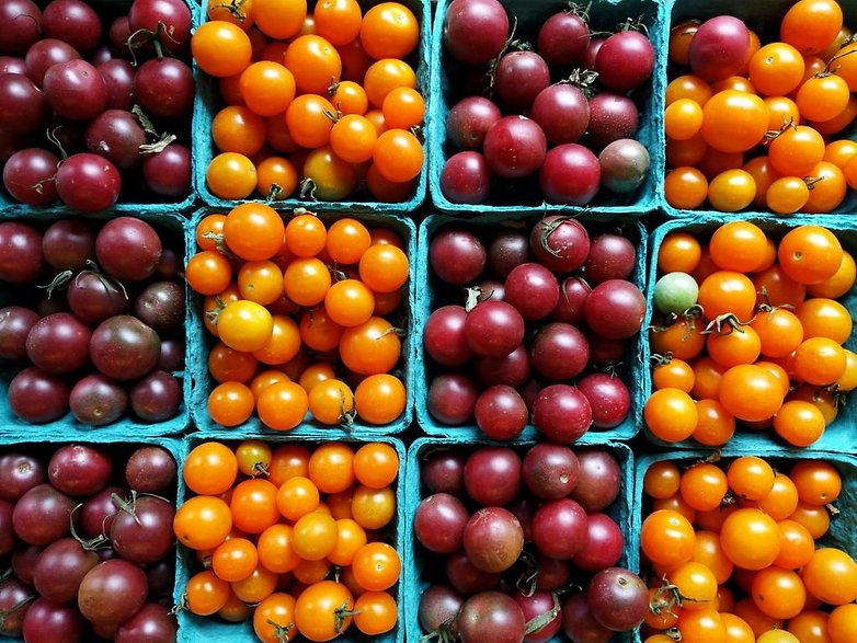 nexus 5x 6p les 5 choses qui se demarquent presentes par google image 01tomatoes 0